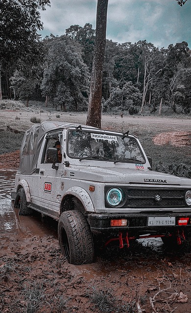 育中常见的 育中常见的