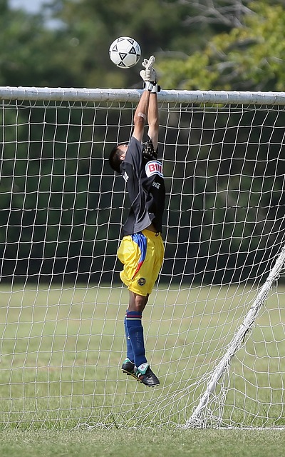 而法尔克的 而法尔克的