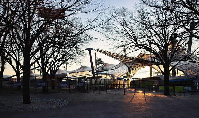 球员的个人 球员的个人